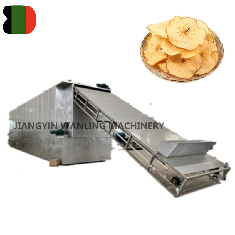 DW high capacity vegetable belt dryer