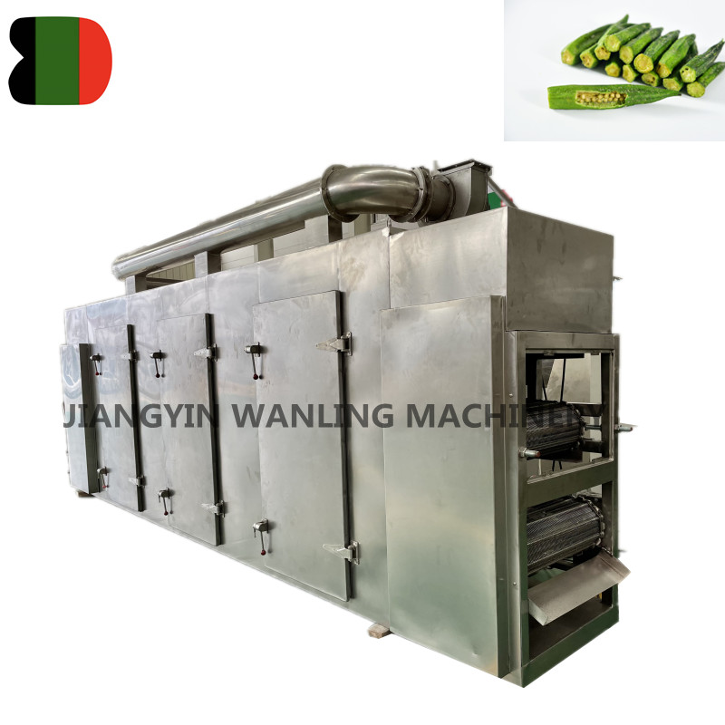 DW continuous belt dryer machine for vegetables